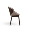 Aria Big B-5320 Wood Back Panel Base Wood